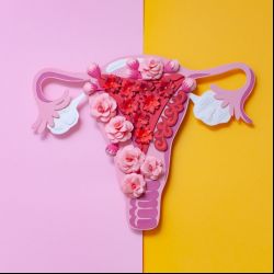 Foto - Strašiak menom endometrióza: Existuje prírodná pomoc?